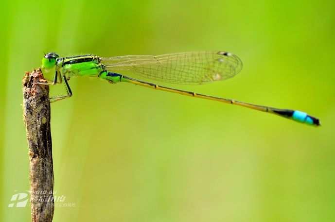 С���� (7).jpg