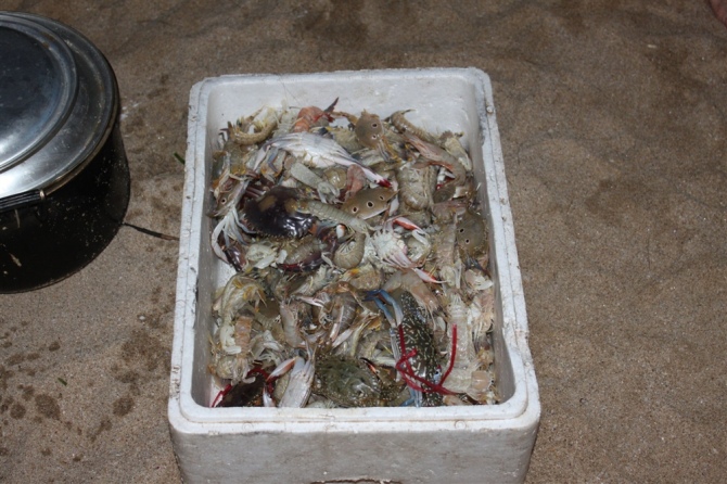 ������׽�ĺ���Ʒ