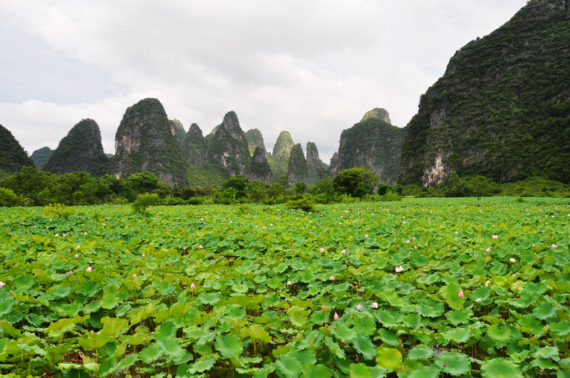 ������ǭ�� 579.jpg