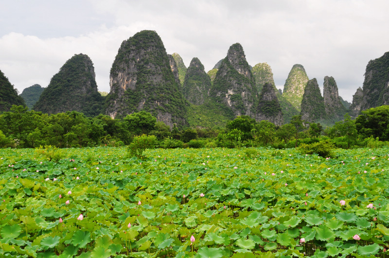 ������ǭ�� 580.jpg