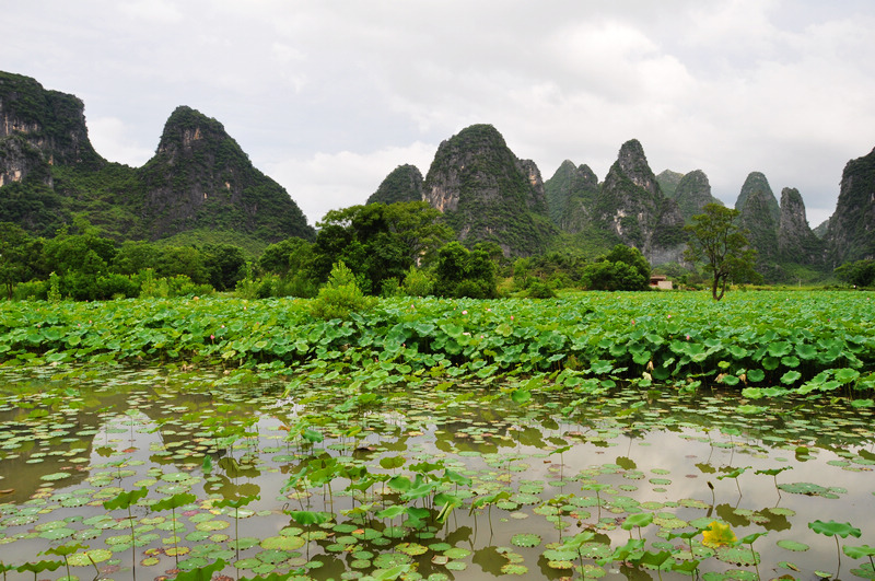 ������ǭ�� 581.jpg