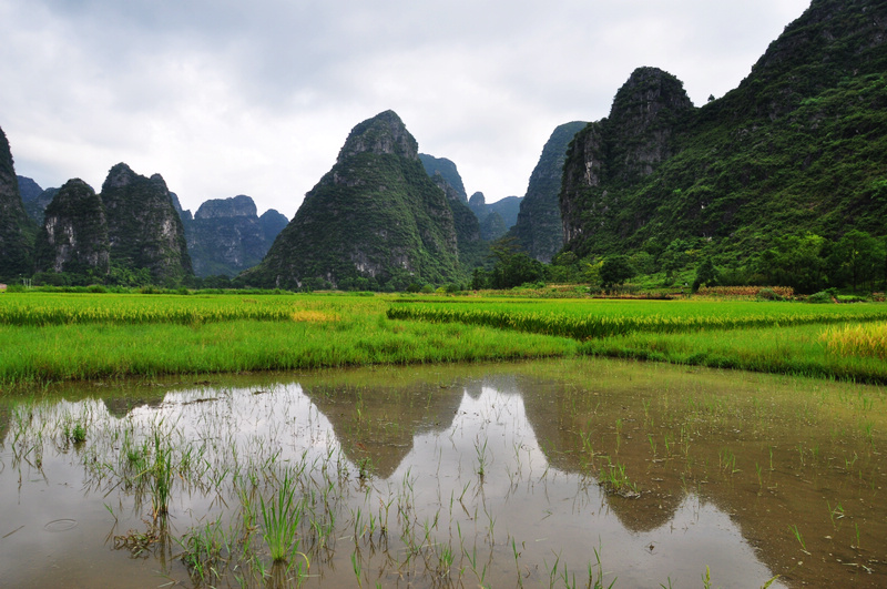 ������ǭ�� 599.jpg