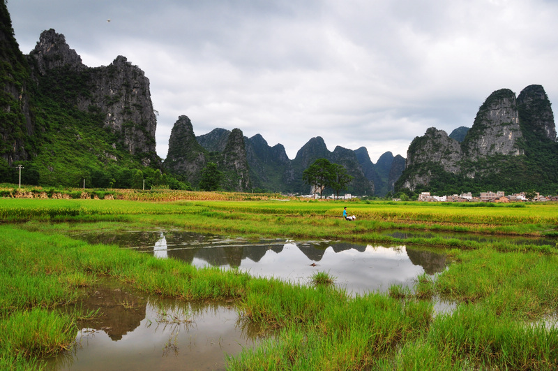 ������ǭ�� 600.jpg