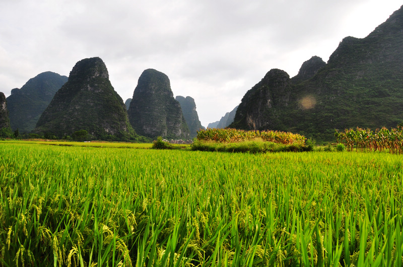 ������ǭ�� 604.jpg