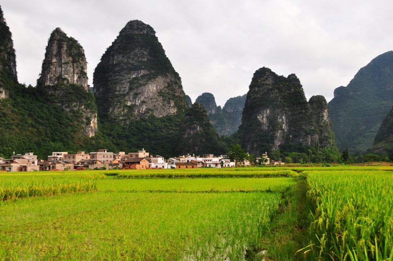 ������ǭ�� 606.jpg