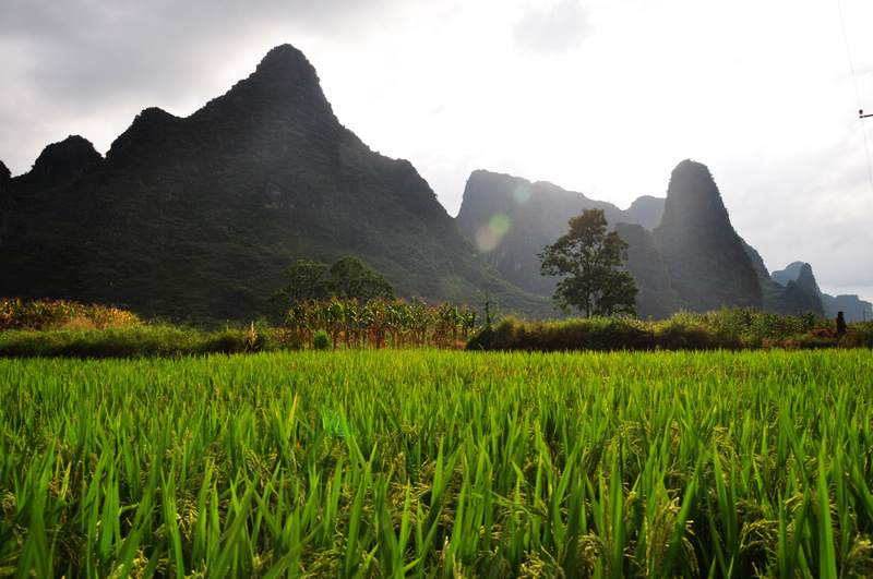 ������ǭ�� 607.jpg