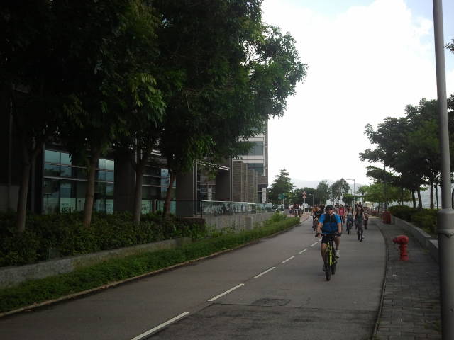 �����܇��Ҳ����܇�ѳú�����܇