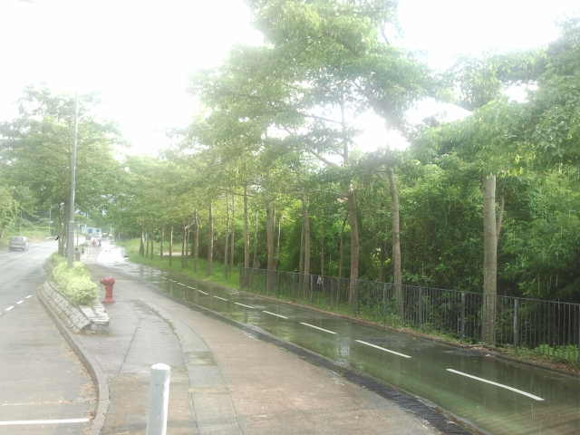 2013-07-28 17.39.41.jpg