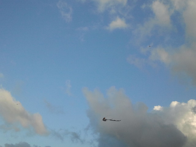 2013-07-28 18.16.28.jpg