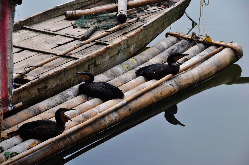 ������ǭ�� 668.jpg