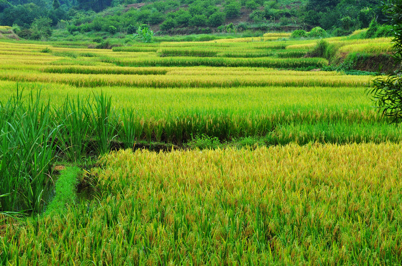 ������ǭ�� 714.jpg