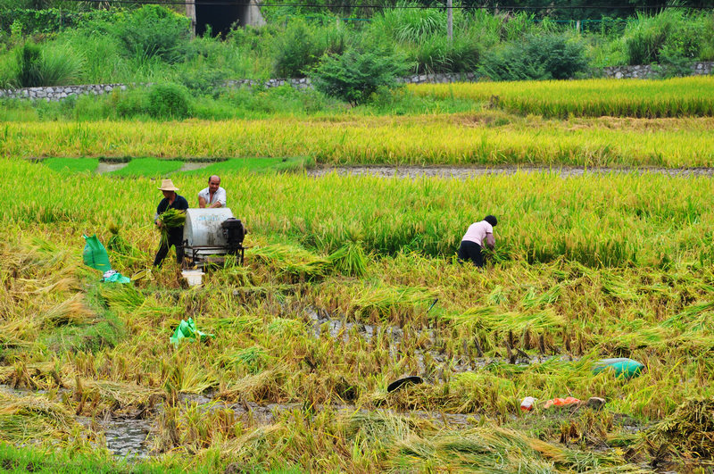 ������ǭ�� 718.jpg