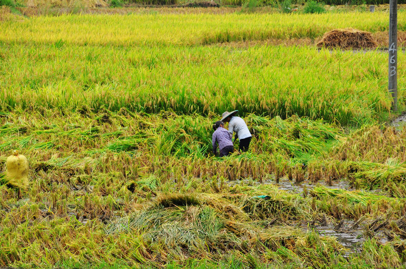 ������ǭ�� 719.jpg