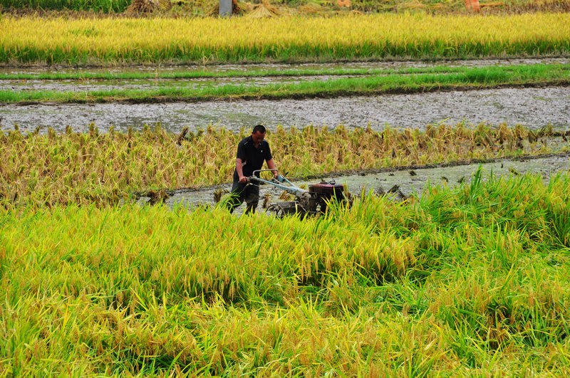 ������ǭ�� 720.jpg