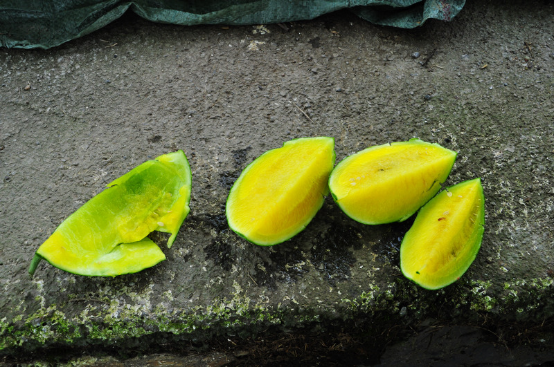 ������ǭ�� 722.jpg