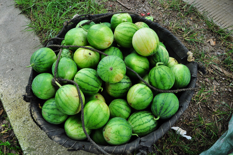 ������ǭ�� 723.jpg