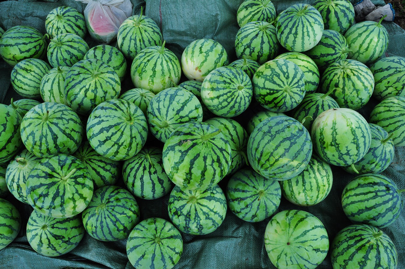 ������ǭ�� 724.jpg