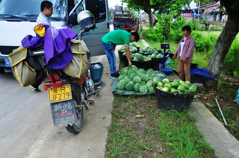 ������ǭ�� 725.jpg