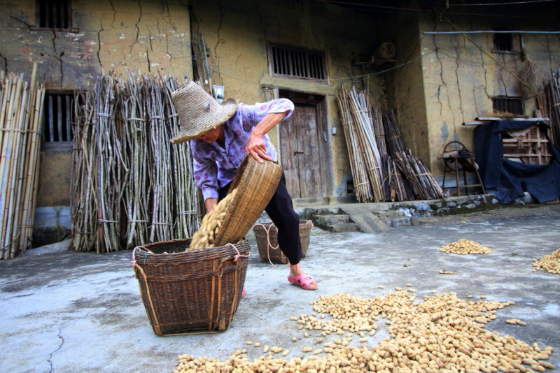 DPP_015 ����.jpg