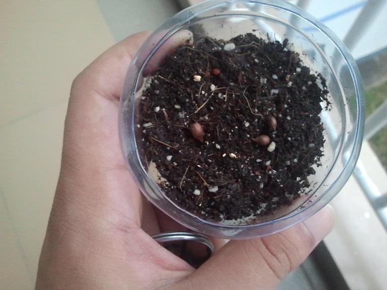 2013-09-01 18.24.56.jpg