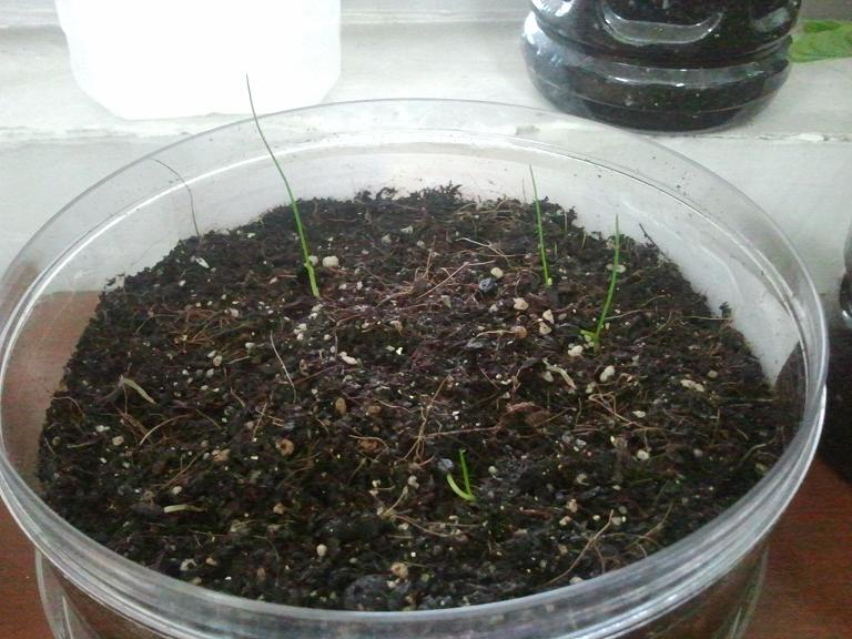 2013-09-01 18.16.10.jpg