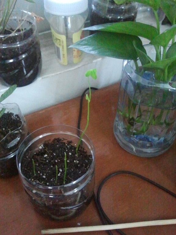 2013-09-01 18.16.28.jpg