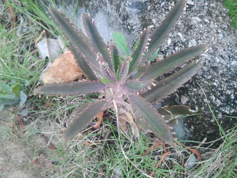 2013-09-01 18.20.47.jpg