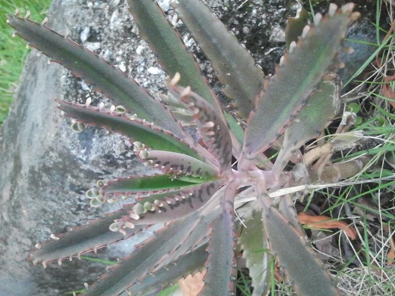 2013-09-01 18.21.26.jpg