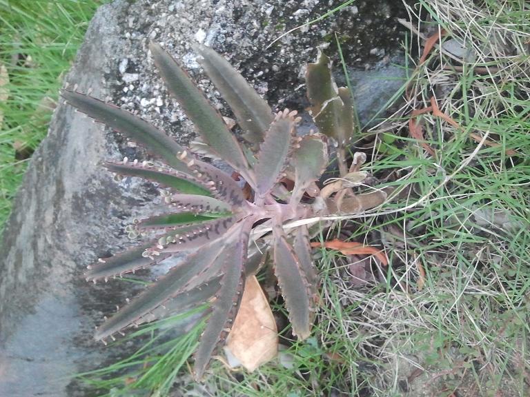 2013-09-01 18.21.34.jpg