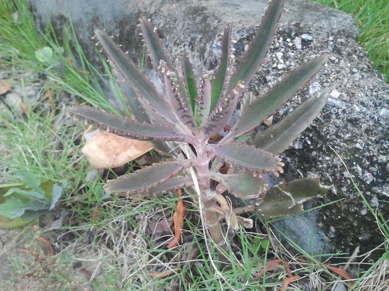 2013-09-01 18.21.42.jpg