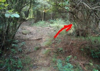 �޺��� 2-2.jpg