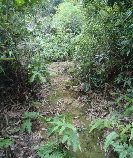 ����ɽ·�� 3.jpg