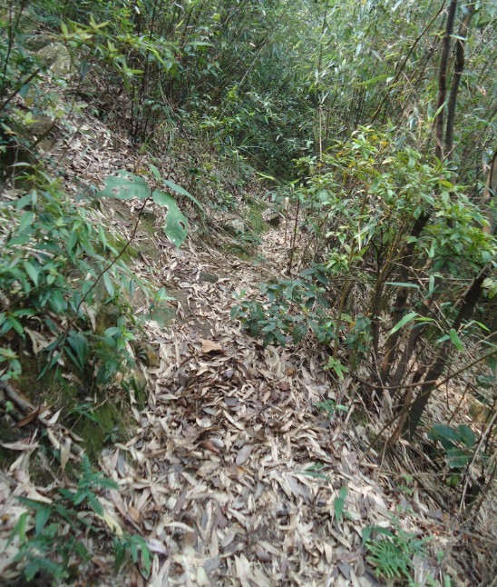 ����ɽ·�� 4.jpg