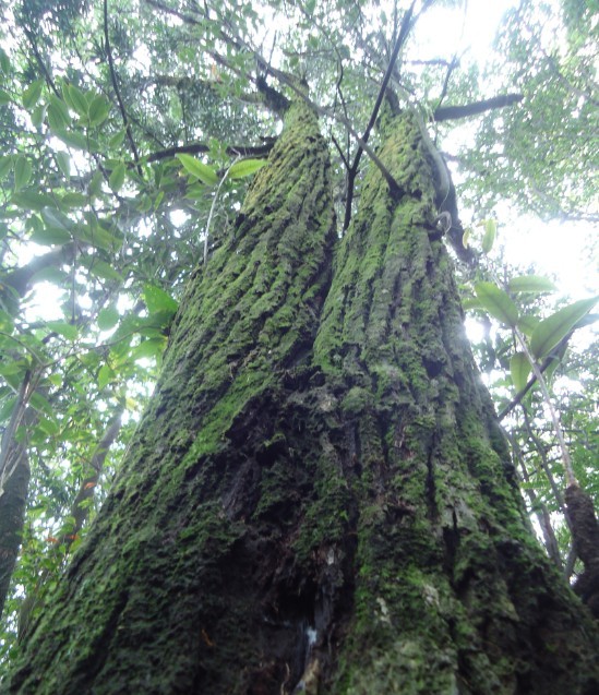 �޺��� 3.jpg