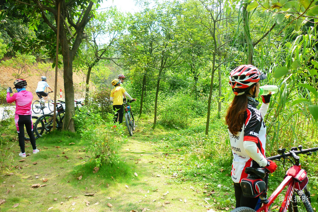 ��Ҷ�������ͣ�����ڿ�ʲô�أ�