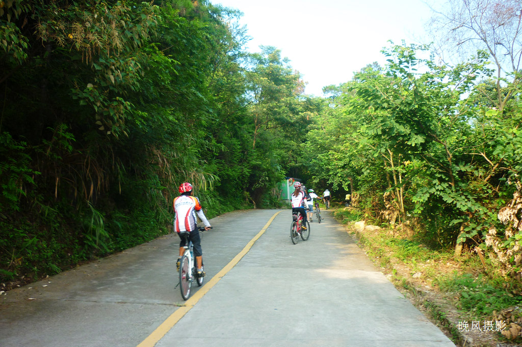 ��Ҷ��ڼ��ѵ�����