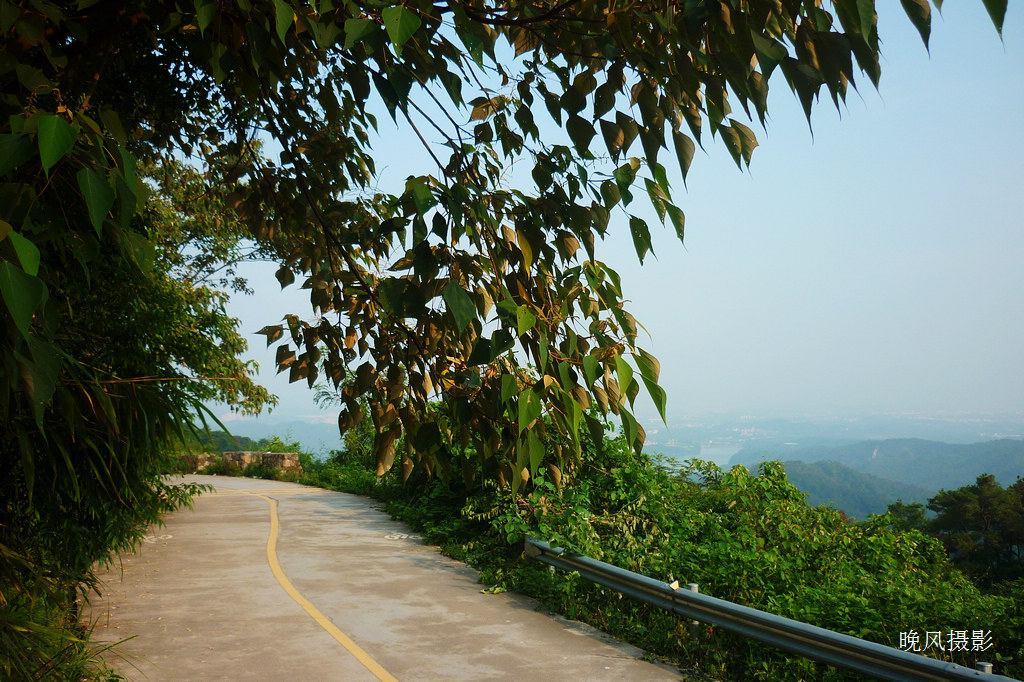 �����ľ�ɫ