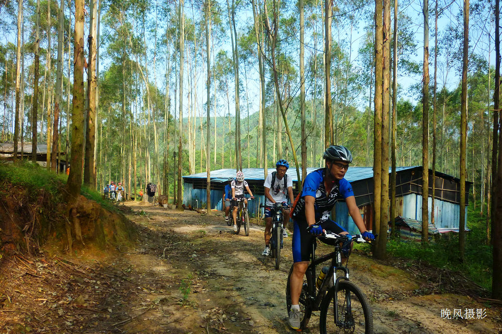 ����ʼ���ֵ���Խ