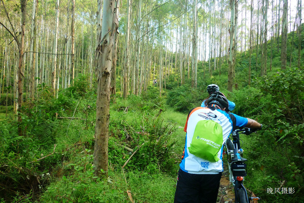 ���尮ϧ����С�ܣ��Ƴ���ɵ�����