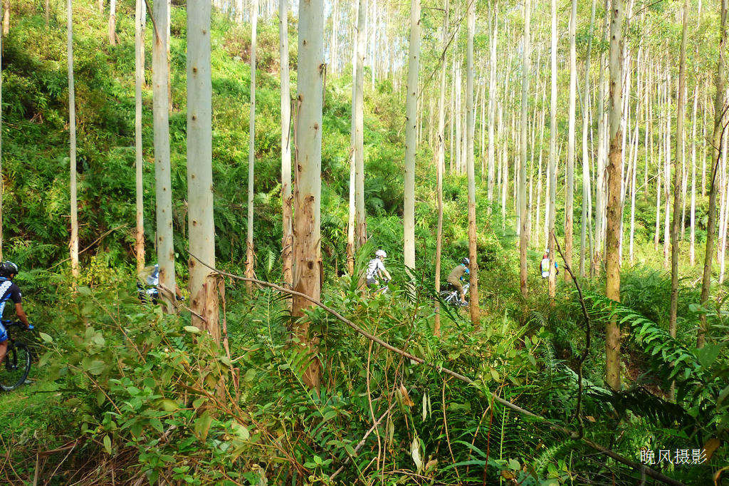 ������ɽ�䴩Խ