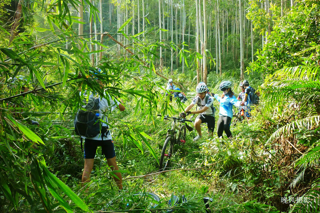 �����ǵĻ���ͳͳ�����µ���