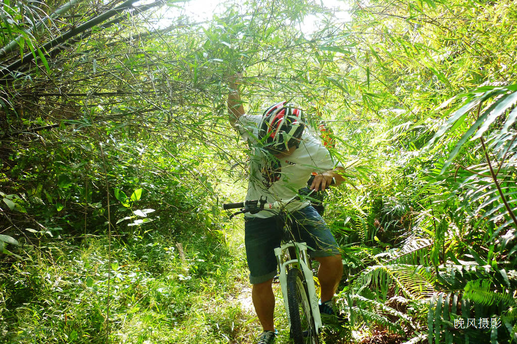 ������ᵽ�����ͷ��