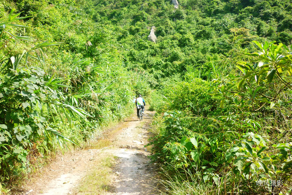 ����ƽ·��ȴ��������