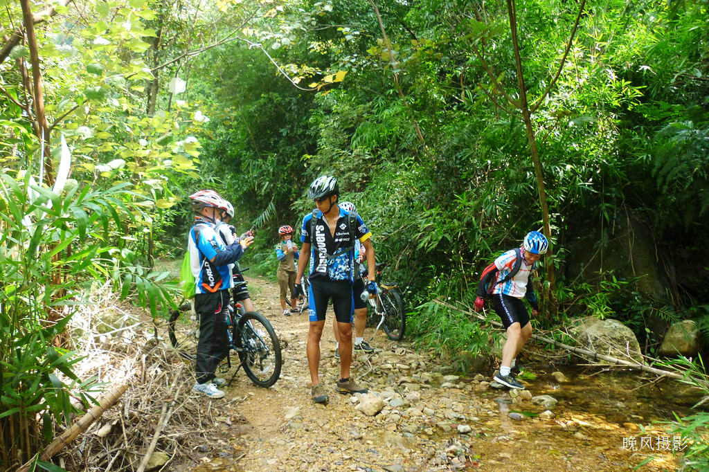 ��Ҷ�������פ��