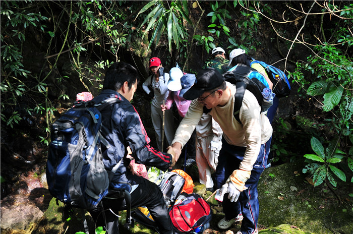 ��¿��������