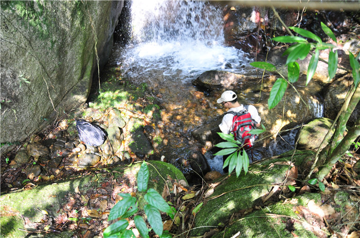 ʯͷ�����Ȼ�и�������̽