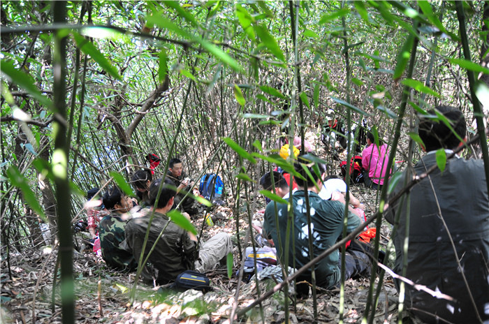 С����������