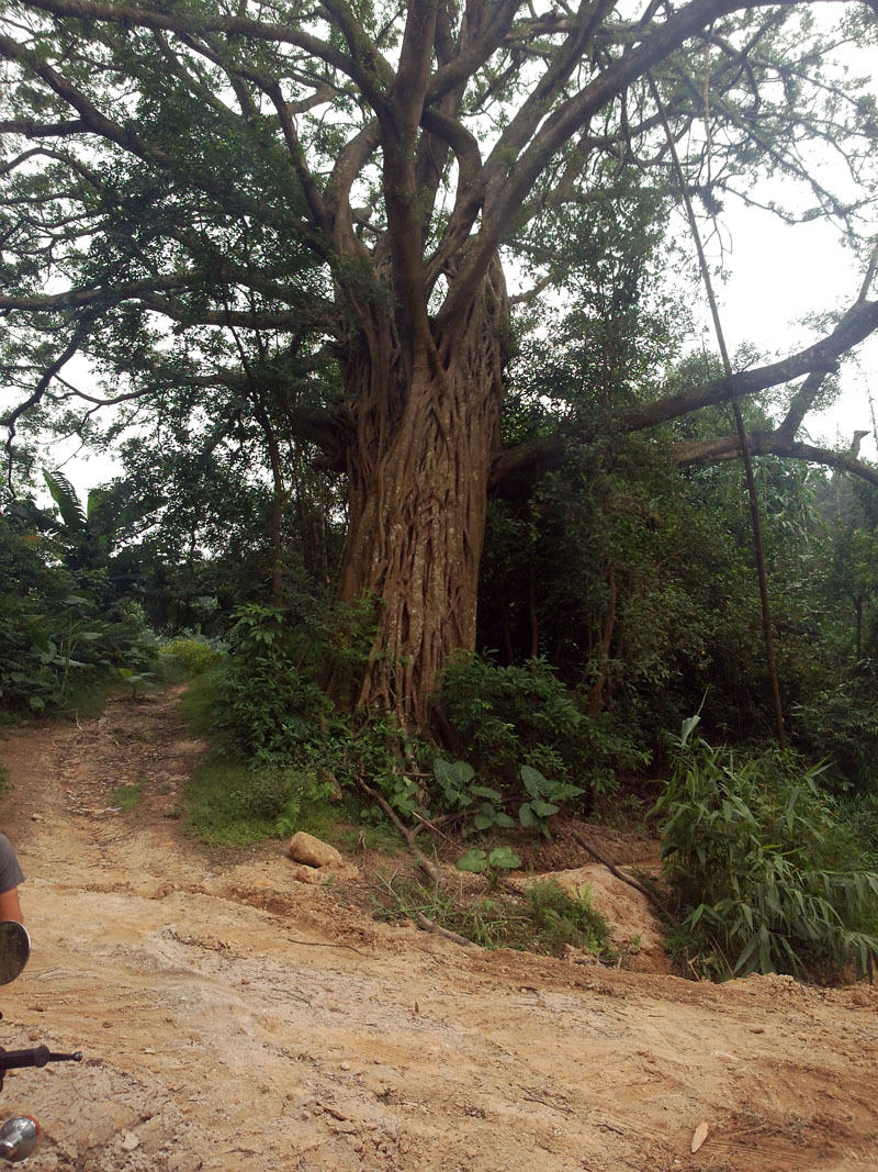 ����ɽ��Խ��¼