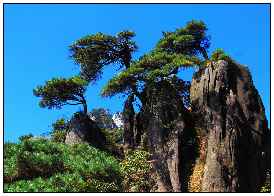 ��Ƭ 031_nEO_IMG.jpg