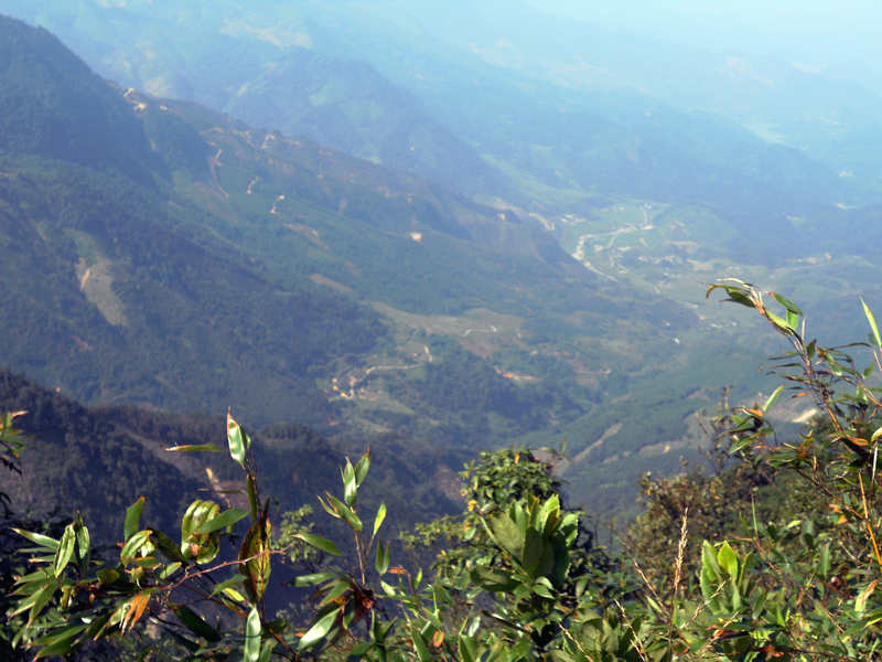 ��Ƭ 811_����.jpg